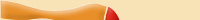 Torna alla home page